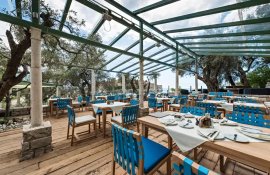 Hareketli Tavan Kapama Sistemleri